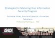 Strategies for Maturing Your Information Security CRISC CGEIT CISM 2013 Fall Conference ¢â‚¬â€œ¢â‚¬“Sail to