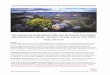 VOLCANOES OF NORTHWEST NEW SOUTH WALES: EXPLORING ... · VOLCANOES OF NORTHWEST NEW SOUTH WALES: EXPLORING RELATIONSHIPS AMONG GEOLOGY, FLORA, FAUNA AND FIRES FINAL CIRCULAR Scope