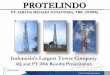 PROTELINDO - ptsmn.co.id · Financial Results Operational Performance. Achievements in 2016 • Closed Purchase of XL Towers: Acquired 2,500 towers with 3,759 tenants, including XL,