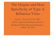 The Origins and Host Specificity of Type A Influenza Virus · Influenza Background • The normal host and reservoir for type A influenza viruses are wild waterfowl, shorebirds, and