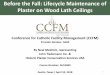 Before the Fall: Lifecycle Maintenance of Plaster on Wood ... · By the end of the program, participants will learn how and why plaster on wood lath ceilings were designed to function