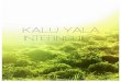Kalu Yala Summer 2013 Internship Packetagrilifecdn.tamu.edu/rptsjobs/files/2012/12/KaluYalaInterns2-13.pdf · Jungle*Adventures*by*KaluYala,whichopens*KaluYala*to*the*public*through*an