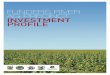 FLINDERS RIVER AG PRECINCT INVESTMENT PROFILE · flinders river ag precinct investment profile page 4 the ‘flinders river ag precinct group’ is a unified group of cattle and sheep