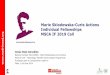Marie Sklodowska-Curie Actions Individual Fellowships · Marie Sklodowska-Curie Actions Individual Fellowships MSCA IF 2019 Call. rg Madri+d Mission An instrument of the Ministry