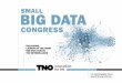 SMALL BIG DATA - TNO...INTRODUCTION 3 TNO presents the Small Big Data Congress, in cooperation with the Big Data Value Center and the Amsterdam Innovation ArenA. Are you interested