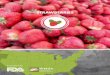 STRAWBERRIES · 2. Identify the most common farming practices used in the production of strawberries. ITRTI. Strawberries are a high value crop in the United States. The U.S. is,