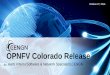 OPNFV Colorado Release - CENGNinclude the VPP (Virtual Packet processor) as a software forwarder provided by FD.io project to enable both carrier grade forwarding performance, scalability