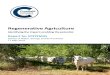 Regenerative Agriculture...1 Regenerative Agriculture Identifying the impact; enabling the potential Report for SYSTEMIQ School of Water, Energy and Environment 17 May 2019 Burgess
