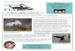 BUENA VISTA AUDUBON SOCIETY Birdhouse LAGOON & …Sources: The Inner Bird: Anatomy and Evolution and The Sibley Guide to Bird Life and Behavior BVAS DONATION MINI-FORM (Clip & Send)