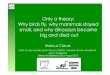 Only a theory: Why birds fly, why mammals stayed …ffffffff-f77d-1dab...small, and why dinosaurs became big and died out Marcus Clauss Clinic for Zoo Animals, Exotic Pets and Wildlife,