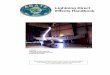 Lightning Direct Effects Handbook - SKYbrary · Lightning Direct Effects Handbook Ed Rupke Lightning Technologies Inc. 10 Downing Industrial Parkway Pittsfield, MA 01201 Report Reference