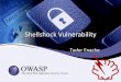 Shellshock Vulnerability - OWASP · •Contact your vendor •Initial patches released for the GNU Project BASH did not properly close the vulnerability CVE-2014-6271, CVE-2014-6277,