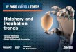Hatchery and incubation trends - Zoetis ES...2017/09/25  · Hatchery of the future •When production volume, energy cost and investment capital access conditions are appropriate
