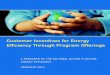 Customer Incentives for Energy Efficiency Through Program ......to energy efficiency by creating effective customer incentives for energy efficiency through program offerings. Customer