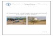 La transhumance transfrontalière en Afrique de l’Ouest – … · 2013-01-28 · dune stratégie et dun plan d'actions pour la transhumance en Afrique de lOuest. Lanalyse de la