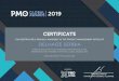 CERTIFICATE · certificate delhaize serbia this certificate is proudly awarded to the project management office of in recognition of its outstanding participation as the representative