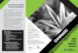 REDUCING HARM FROM CANNABIS...are better for you • If you do smoke cannabis, joints are better for you than bongs – use as few papers as possible and use a plain cardboard tip