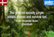 The Android security jungle: pitfalls, threats and ......OWASP top 10 risks • M1: Weak Server Side Controls • M2: Insecure Data Storage • M3: Insufficient Transport Layer Protection