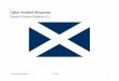 Cyber Incident Response - Scottish Government · Denial of Service Playbook OFFICIAL 5 1. Introduction 1.1. Overview In the event of a cyber incident, it is important that the organisation
