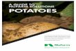 A GUIDE TO NUFARM SOLUTIONS POTATOESEarly and late blight, Colorado potato beetle suppression Agri Tin® Flowable 48 hours 7 days Early and late blight, Colorado potato beetle suppression