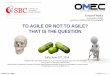 Vice-President of OMEC Lead Trainer in PRINCE2, MSP, P3O ... · PRINCE2®, MSP®, P3O®, MoP®, P3M3®, M_o_R®, ITIL®, MoV® are registered trade marks of AXELOS Limited The Swirl