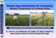 Recent Agro-techniques for increasing K C Sharma.pdf · HI 8627 (Malav Kirti) Timely Sown Irrigated HI 8381 (Malav Shree) HI 8498 (Malav Shakti) HI 8663 (Poshan) HI 8713 (Pusa Mangal)