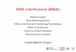 RNA interference (RNAi) - webconferences.com · RNA interference (RNAi) Natasha Caplen Gene Silencing Section Office of Science and Technology Partnerships Office of the Director