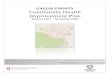 GALLIA COUNTY Community Health Improvement Plan County CHIP Report 2.24 Final.pdf · action, it is my pleasure to present the 2017-2020 Gallia County Community Health Improvement