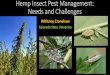 Hemp Insect Pest Management Challenges · Section 7606. Legitimacy of Industrial Hemp Research •Allows production of industrial hemp under some conditions –Where state laws allow