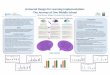 Universal Design for Learning Implementation: The Journey of … Project... · 2017-10-20 · Universal Design for Learning (UDL) is an educational framework that is based on over