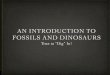 Intro to Fossils and Dinosaurs - 5th Grade With Mrs. Harrisharris5th.weebly.com/.../3/7/2/23721557/intro_to_fossils_and_dinosa… · AN INTRODUCTION TO FOSSILS AND DINOSAURS Time