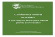 California Word Puzzles! · 2018-03-30 · In southern California chaparral usually grows on slopes away from the coast up to elevations of 5000 feet. Chaparral occurs in nutrient-poor