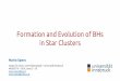 Formation and Evolution of BHs in Star Clusters · Stellar Evolution Versatile easy-to-change input stellar evolution tables Ready for N-body sims Starlab HiGPUs-RX Stellar EVolution