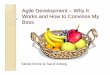 Agile Development – Why It Works and How to Convince My Boss · 2008-03-24 · Agile Development – Why It Works and How to Convince My Boss Stevie Borne & Saviz Artang. ... A