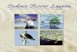 Indian River Lagoon - An Introduction to a Natural Treasurestatic-lobbytools.s3.amazonaws.com/press/58692_an_river_lagoon_an... · An Introduction to a Natural Treasure 1 Contents