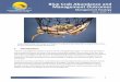Blue Crab Abundance and Management Outcomes...Blue Crab Abundance and Management Outcomes Management Strategy 2015–2025, v.2 A pair of mating blue crabs, known as a "doubler," in