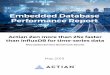 Embedded Database Performance Report · Embedded database architecture needs to be far more agile than ever before and requires an approach to real-time data management that can accommodate