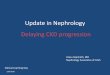 Update in Nephrology Delaying CKD progression · 1/29/2016  · 4. Nephrotic syndrome (Minimal Change Disease and Membranous Nephropathy) 5. Acute papillary necrosis and hematuria