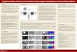 toPhysics-based Feature Extraction and Image Manipulation ...cs231n.stanford.edu/reports/2017/posters/307.pdflighting, as well as some variational amount of hidden intrinsic parameters,