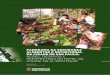Panorama da segurança alimentar e nutricional na ... SUMÁRIO 7 APRESENTAÇÃO 9 ARTICULAÇÕES E METODOLOGIA DE CONSTRUÇÃO DO PLANO MUNICIPAL DE SEGURANÇA ALIMENTAR E NUTRICIONAL