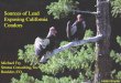 Sources of Lead Exposing California Condors · Sources of Lead Exposing California Condors Michael Fry Stratus Consulting, Inc Boulder, CO. Kern Ventura Santa Barbara San Luis Obispo