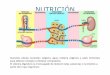 NUTRICIÓN · El sistema digestivo es el encargado de obtener estas sustancias o nutrientes a partir de lo que ingerimos. APARATOS IMPLICADOS . METABOLISMO . ETAPAS DE LA NUTRICIÓN