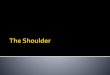 Review shoulder anatomy - WELCOME TO ERS 4 KIDS · 2020-03-13 · Review shoulder anatomy Review the physical exam of the shoulder Discuss some common causes of acute shoulder pain