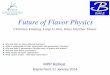 Future of Flavor Physics - · PDF file Flavor Physics MPP retreat Luigi Li Gioi 2 The concept of “flavor physics” was introduced in the 1970s Rev.Mod.Phys. 81, 1887 (2009) Many