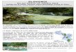 SLOVENIE - PLANET FLY FISHING · 2016-01-21 · Licence 092000003 - SARL au capital de 15 000 € - RC Nanterre B 407 935 006 - Caution APS - RCP MMA SLOVENIE Du 1er avril au 31 octobre