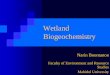 Wetland Biogeochemistry - unepscs.org Flora Fauna and Proce… · Wetland Biogeochemistry Possible global impacts on Wetlands This could occur as a shift in the nature of the biogeochemical