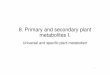 8. Primary and secondary plant metabolites I. · protein and nucleic acid synthesis (primary metabolites) Specific plant metabolism: taxonspecific series of metabolic processes with