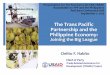The Trans Pacific Partnership and the Philippine …...2015/09/01  · The Trans Pacific Partnership and the Philippine Economy: Joining the Big League Cielito F. Habito Chief of Party