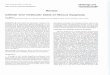Revie w Cellular and molecular basis of fibrous dysplasia · PDF file fibrous dysplasia. Key words: Osteoblasts, Bone formation, Fibrous dysplasia, McCune-Albright syndrome, Gsa mutations
