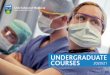 UCD School of Medicine School of Medicine... · The basic sciences as applied to medicine are an extremely important component of the medicine programme at UCD. They are the foundation